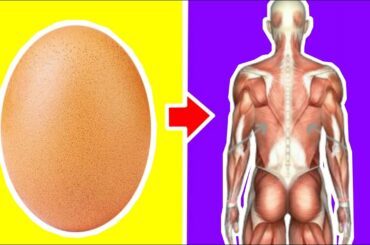 Eat One Boiled Egg A Day, See What Happens To Your Body