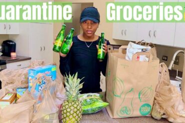 Quarantine Grocery Haul | Healthy Meal Ideas + Fun Snacks!