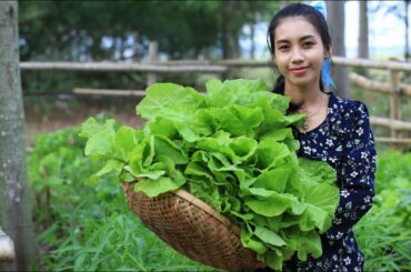 My healthy vegetable garden at home and make soup for dinner