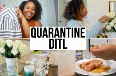 QUARANTINE DITL: CLOTHING HAUL, TRADER JOES, DINNER IDEAS