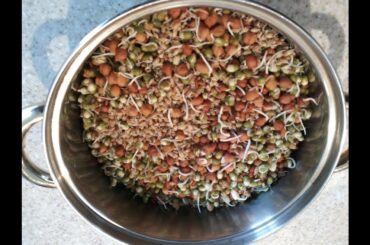 Healthy Sprouts Salad