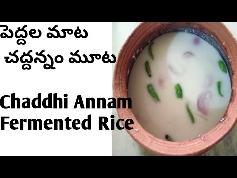 Best health benefits of Fermented Rice#How to make saddhi annam#Low calorie#Pro Biotic Rice Best health benefits of Fermented Rice#How to make saddhi annam#Low calorie#Pro Biotic Rice