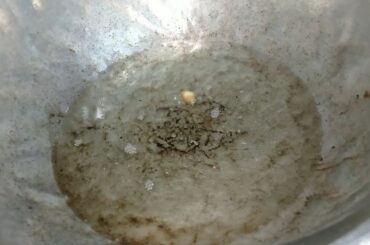 Different evening snacks prepared by my grandma / inipu paal vadai #healthysnacks