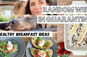 RANDOM WEEK IN QUARANTINE & HEALTHY BREAKFAST IDEAS