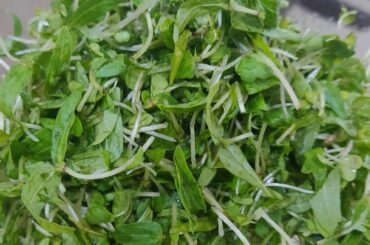 healthy recipe || Fenugreek,mustard sauce for pasta,naan,bread or as pachadi with rice