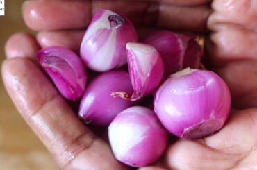 This Salad Will Improve Your Gut Health & Immunity | Skinny Recipes