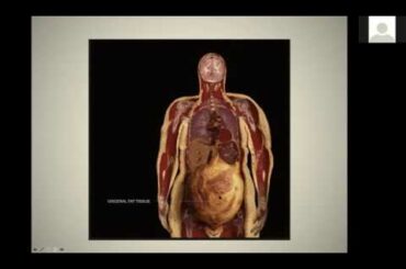 Fasting Mimicking Diet to Support Longevity & Immune Health with Dr Ross