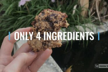 Healthy low calorie cookies*healthy coronteen snack*