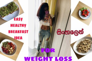 easy healthy breakfast idea for weight loss | සිංහලෙන්