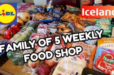 LIDL & ICELAND GROCERY HAUL ~ FAMILY OF 5  💙
