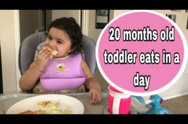 what my 20 months old toddler eats in a day|Healthy meal ideas for 16-20 months old
