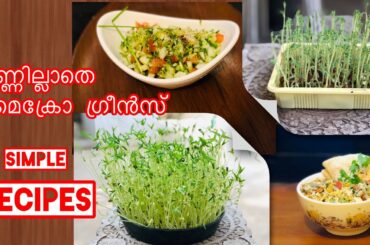 How to grow MICROGREENS in Malayalam and two easy recipes