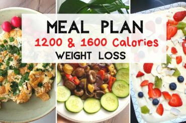 🍓 Weight Loss Meal Plan I 1200 - 1600 calories 🍓