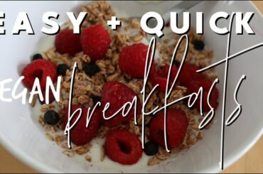 QUICK VEGAN BREAKFAST IDEAS | Healthy and Easy Recipes