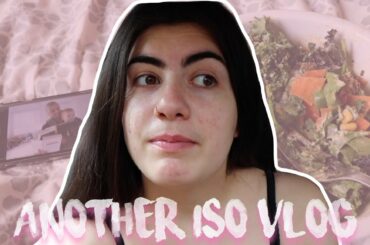 ANOTHER ISO BDAY, VEGAN PIES & HEALTHY LUNCHES | ISO VLOG 3
