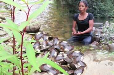 Life skills: Found Shellfish in River to Cook with Chili sauce for Lunch - Easy food and eating food
