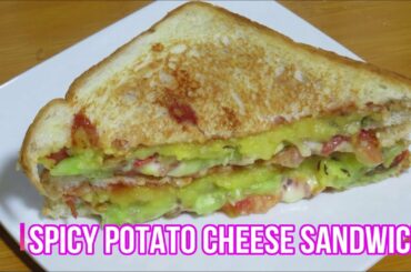 Spicy Potato Cheese Sandwich|Cheesy Veg Sandwich Recipe