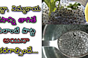 Sabja drink recipe in telugu l weight loss drinks🍻🍹l Reduce body heat drink l by mana healthy life