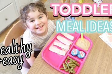 WHAT MY TODDLER EATS IN A DAY VLOG | SIMPLE + HEALTHY MEAL IDEAS FOR KIDS