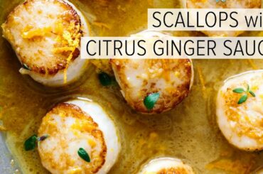 SCALLOPS with CITRUS GINGER SAUCE | how to cook scallops