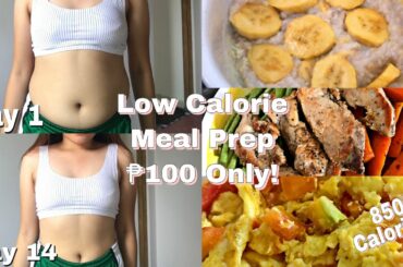 Easy Low Calorie Meal Plan For ₱100 Only! (835 Calories!)