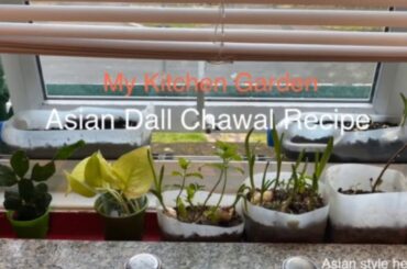 New fat free healthy food recipe, Asian style Lahore Dall Chawal, new quickest healthy rice recipe