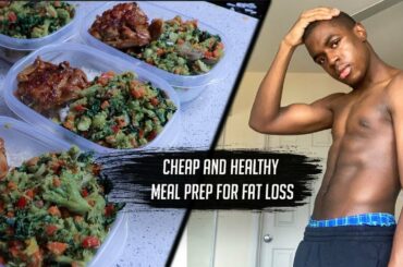 HOW TO SHED FAT | CHEAP AND HEALTHY MEAL PREP (+ Results!)