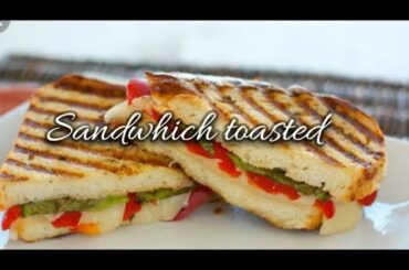 Healthy  And Easy Vegetable Sandwich Recipe