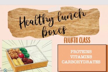 HEALTHY LUNCH BOXES USING PROTEINS, VITAMINS, CARBOHYDRATES