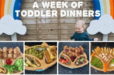 A WEEK OF TODDLER MEALS - 21 MONTH OLD - DINNER IDEAS
