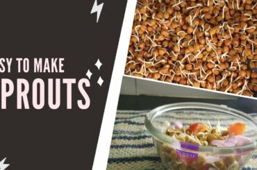 Sprouts| Healthy Breakfast | Diet Recipe || The Culinary Artist