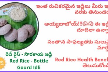 Red Rice - Bottle Gourd Idli | రెడ్ రైస్ - సొరకాయ ఇడ్లీ | Healthy Breakfast Recipe in Telugu