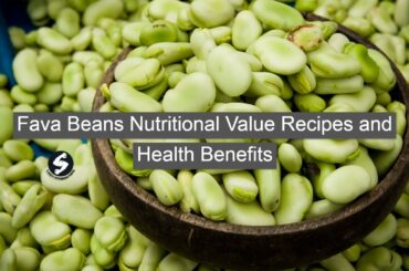Fava Beans Nutritional Value Recipes and Health Benefits