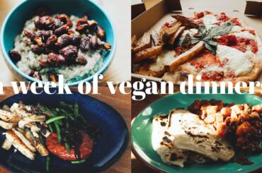 A week of VEGAN dinners 》7 vegan recipes and ideas #veganwhatieatinaday