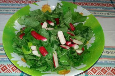 Radish Salad. Very Easy and Healthy