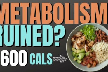 600 Calorie Diet Lose Weight Fast!