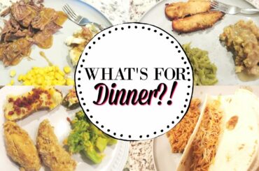 WHAT'S' FOR DINNER 🍴🍝🍳 | BUDGET FRIENDLY DINNER IDEAS | EASY MEAL IDEAS | 2020
