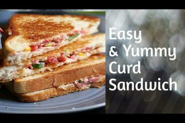 Make easy and healthy Curd Sandwich // Girl in white Coat