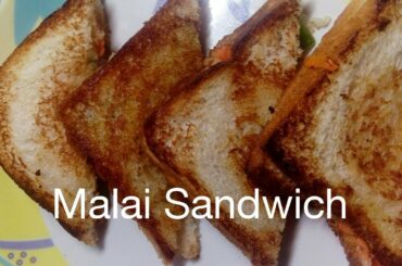 Healthy & tasty Malai Sandwich