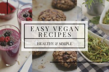 Easy Vegan Recipes | Healthy Recipes for Meal Prep | The Honey Boost Trailer