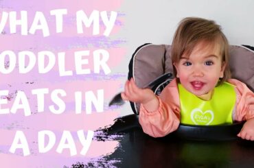 WHAT MY 16 MONTH OLD TODDLER EATS IN A DAY | HEALTHY TODDLER & BABY MEAL IDEAS | EATING TABLE FOODS