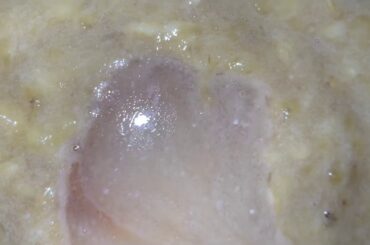 Healthy whole wheat banana cake bread. I do not own copyright of background music.