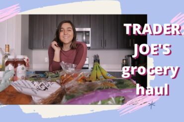 HUGE Trader Joes Haul | Healthy Eats and Staples