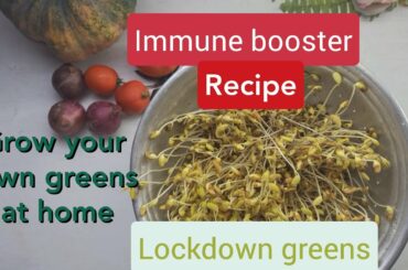 lockdown greens| grow your own greens | boost ur immune system |healthy recipe| by makelifecious A