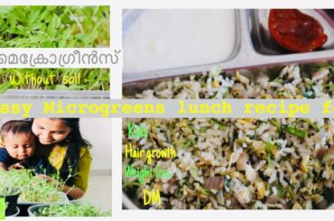എൻ്റെ ആദ്യത്തെ മൈക്രോഗ്രീൻസ് കൃഷി / മടിയുള്ള ദിവസം ചെയ്യാം 5 minute healthy Lunch recipe