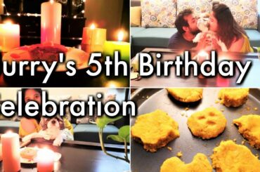 Flurry The Shih Tzu's 5th Birthday | HEALTHY HOMEMADE Dog Food Recipe *MUTTON*