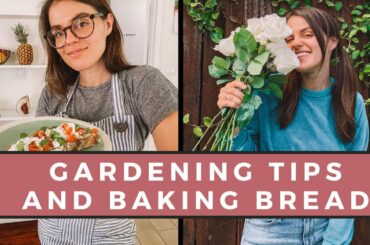 Vegetable Gardening Tips For Beginners  + How To Bake Bread
