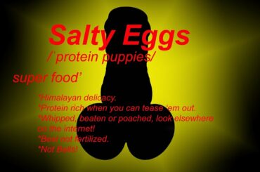 DIET #05 - 500 Calorie Diet, Lets Get Cooking!! Diet Day Food & Magical Puddings!