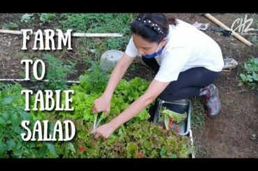 Farm To Table Salad (Gumawa Ako Ng Salad Mula Sa Garden Namin)