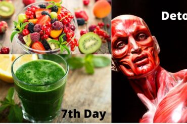 2 Healthy Breakfast Recipes For Detox And Weight Loss To Make At Home | 7th Day Cleansing & Detox